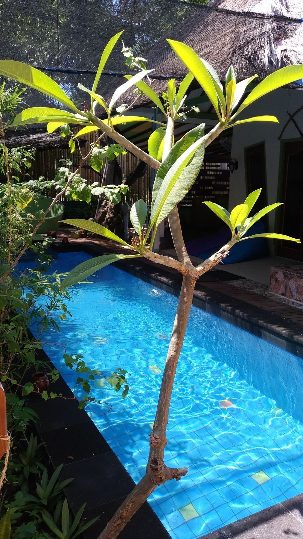 Villa Casa Mio Gili Air Zewnętrze zdjęcie